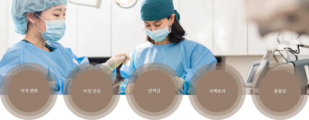 대음순 형태 안내