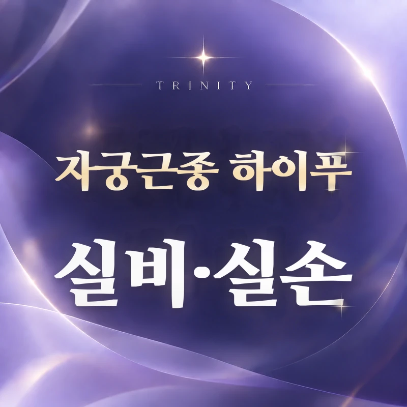 자궁근종 하이푸 실비·실손보험