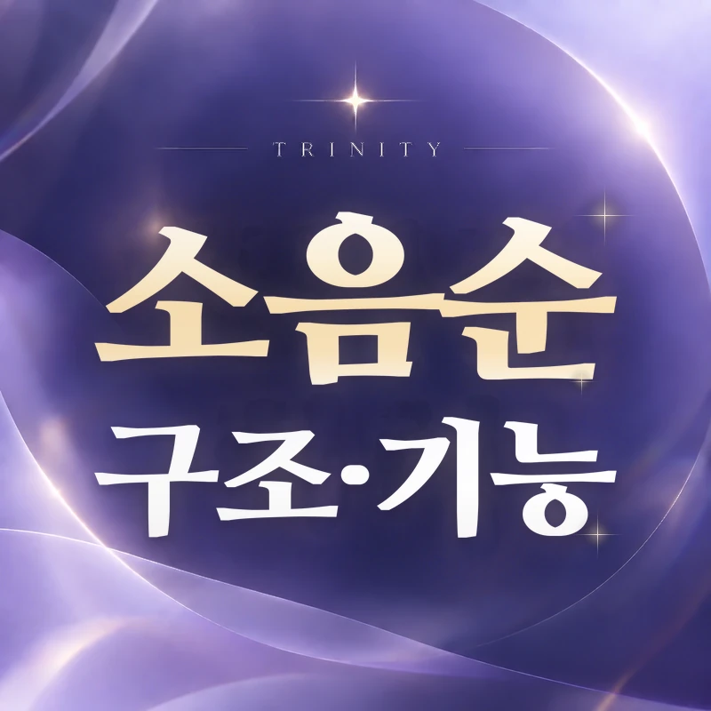 소음순 겹주름 | 트리니티여성의원