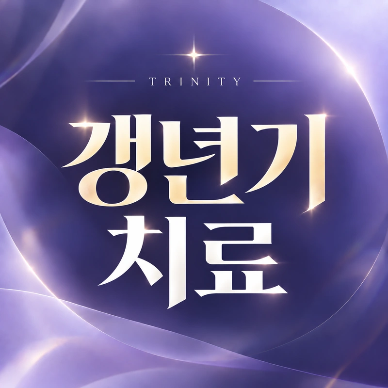 갱년기 치료