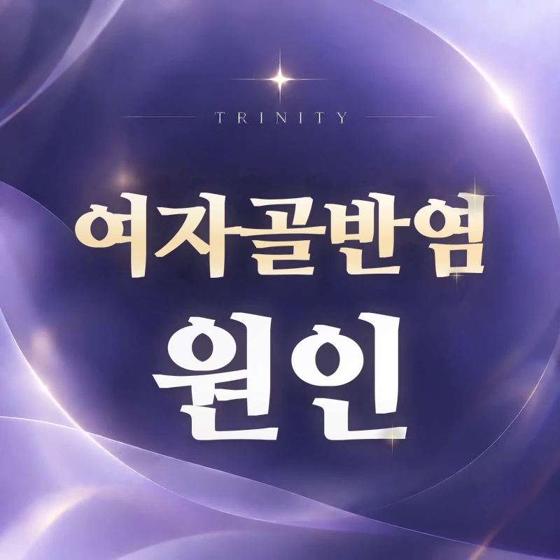여자골반염 원인 | 골반염이 생기는 경로