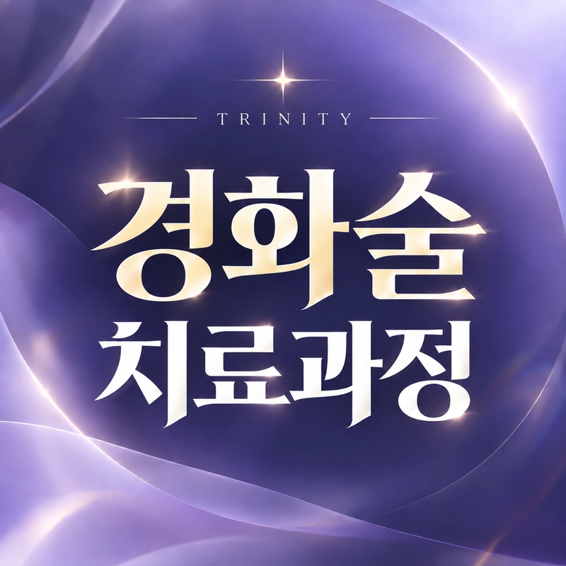 경화술 과정