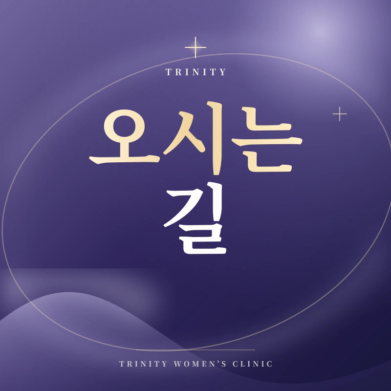 신사역 오시는 길