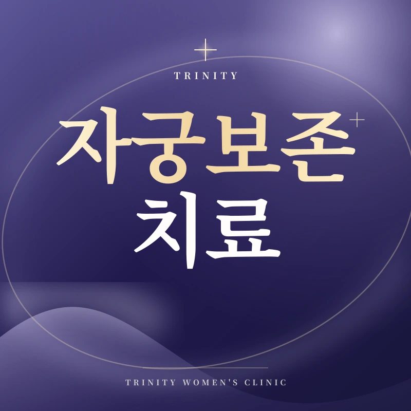 자궁보존 치료