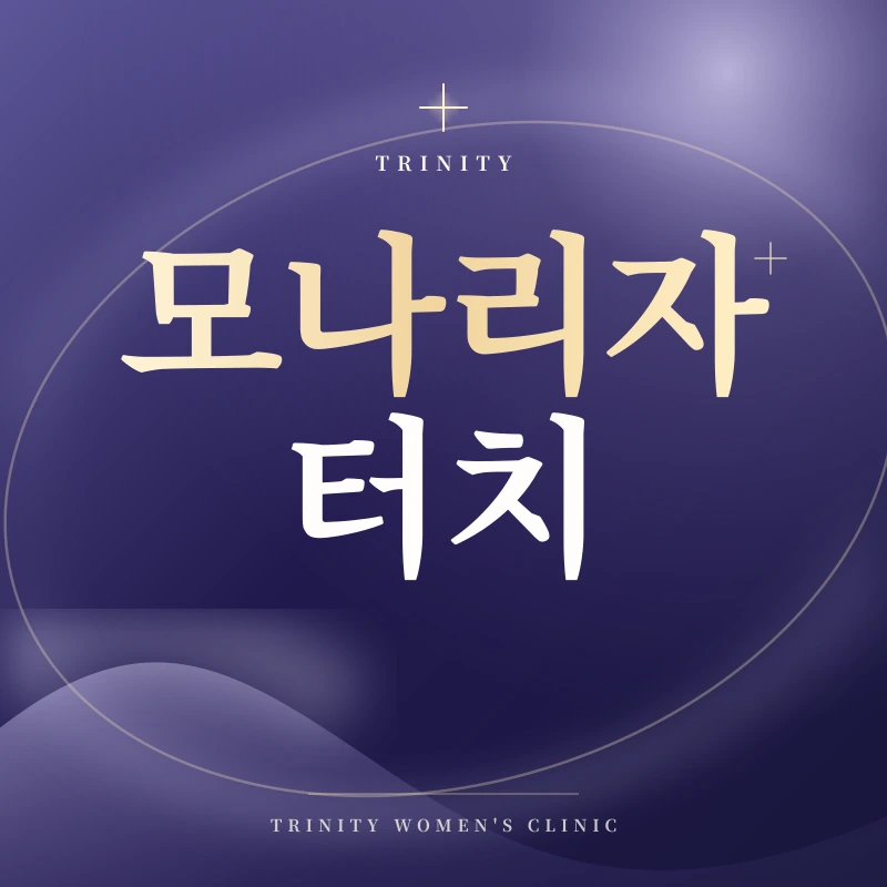 모나리자터치