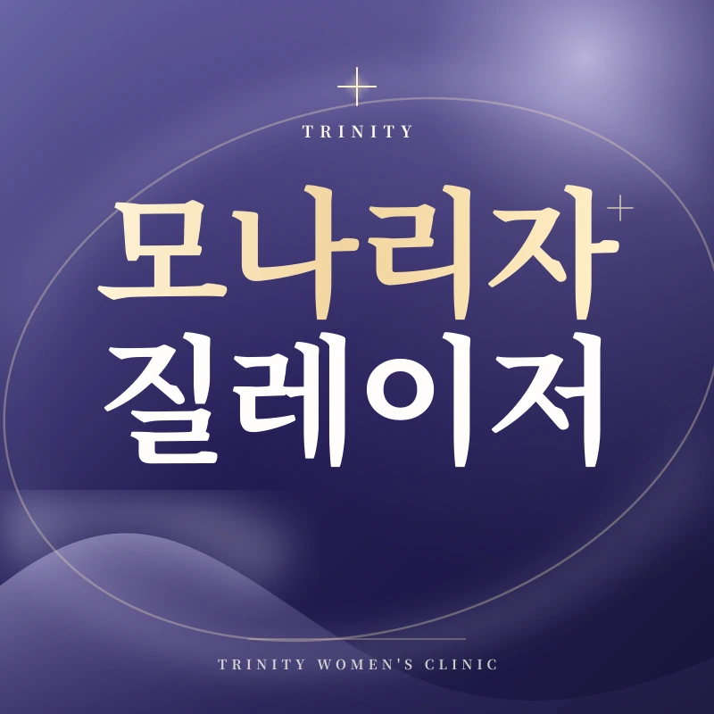 모나리자터치 질레이저