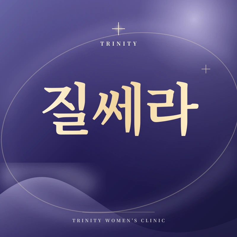 질쎄라·질세라