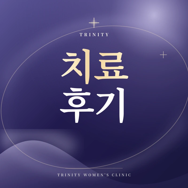 질쎄라 후기