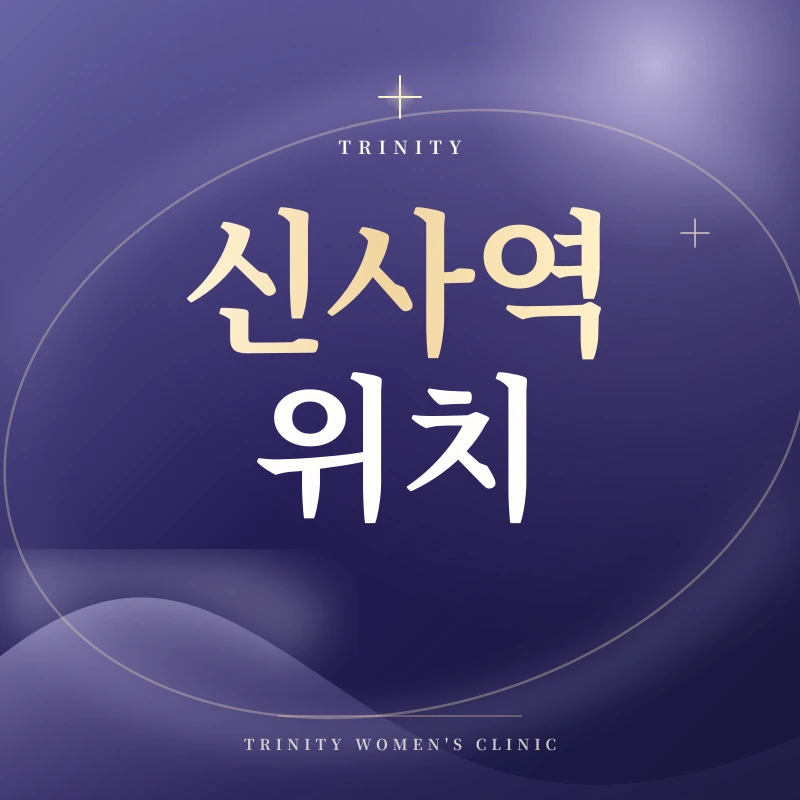 신사역 산부인과 위치