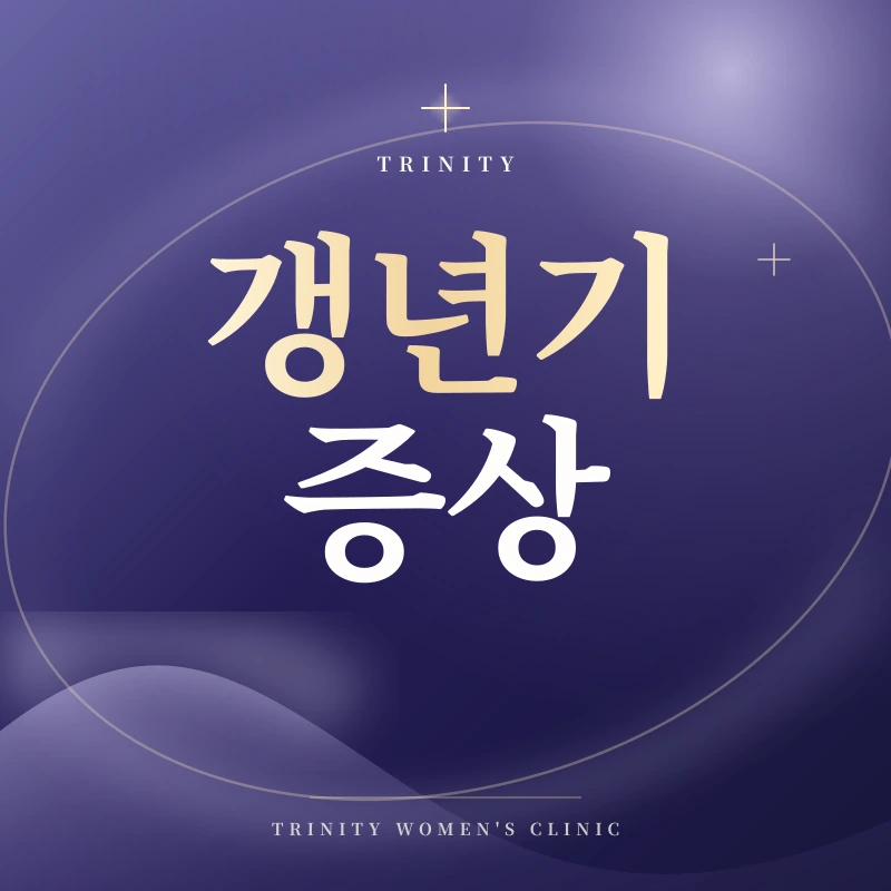 갱년기 증상