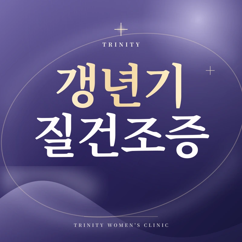 갱년기 질건조증