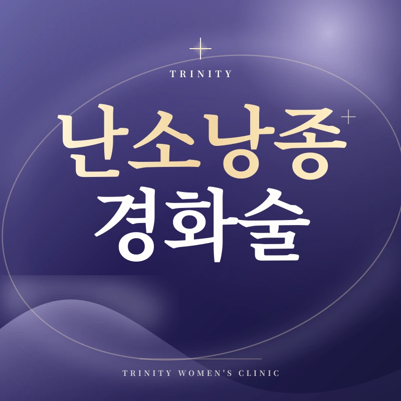 난소낭종경화술·알코올경화술