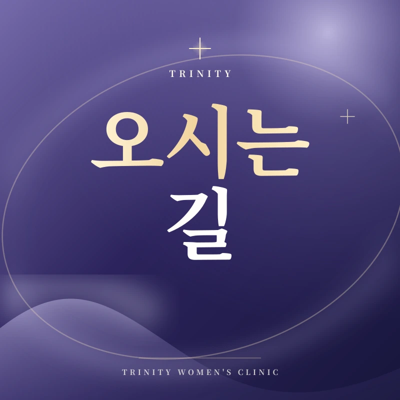 신사역 오시는 길