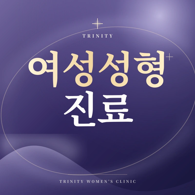 여성성형 진료