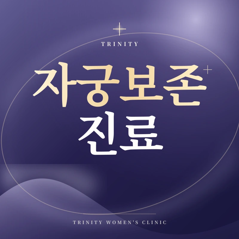자궁보존 진료