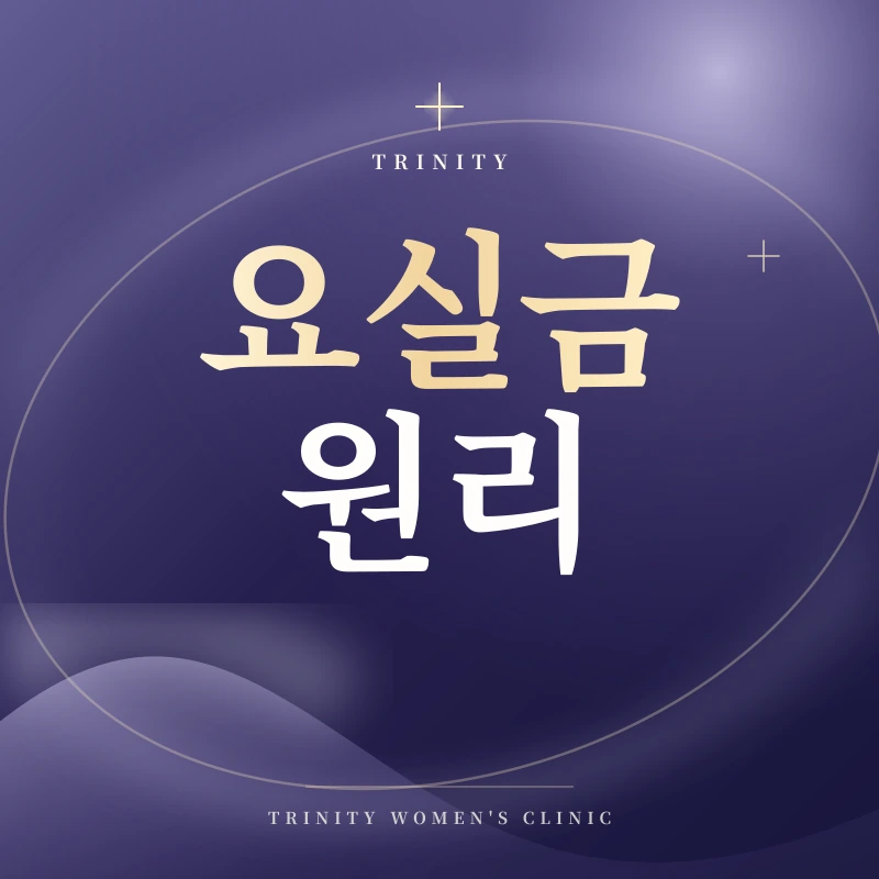 요실금수술 후 소변 안새는 이유 | 요도를 지지해주는 요실금수술!