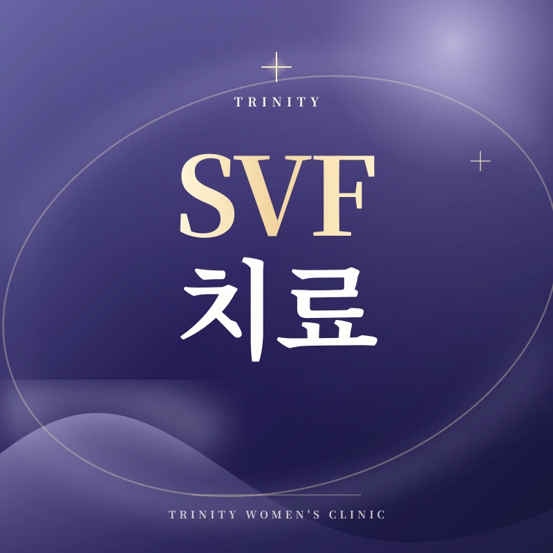 SVF 치료