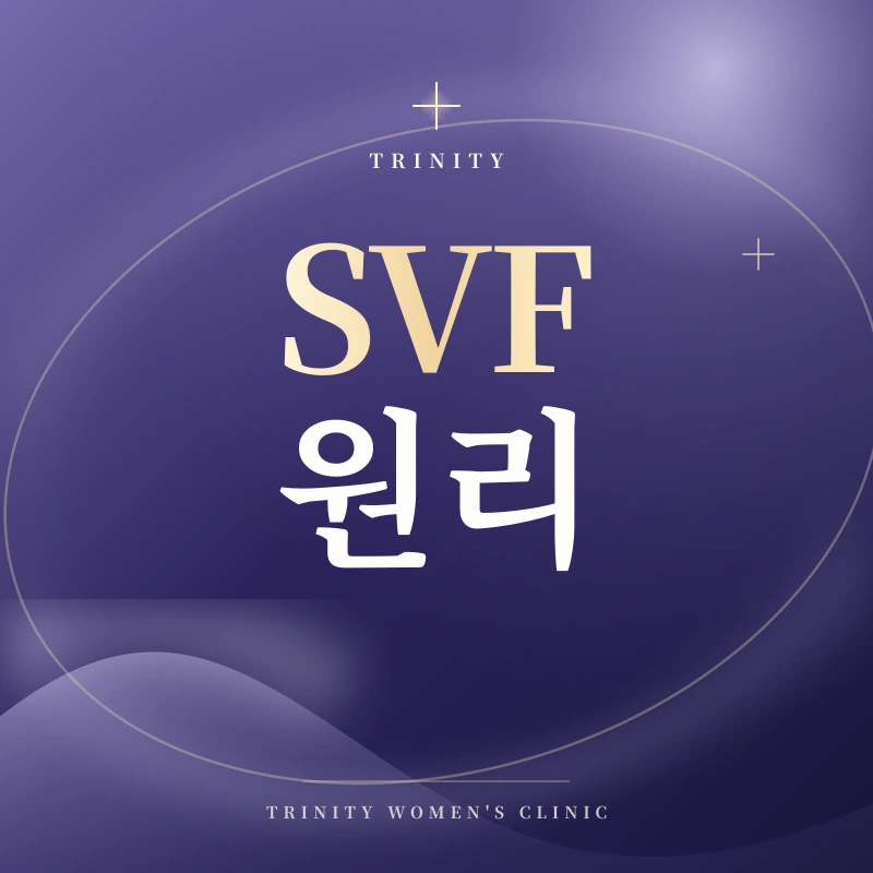 SVF 치료 원리