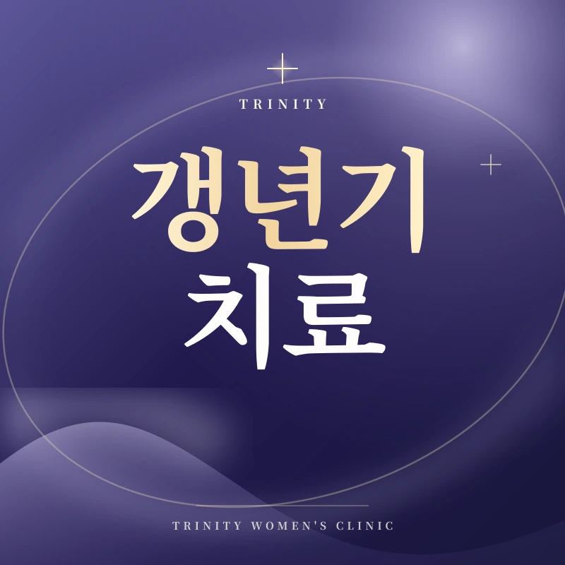 갱년기 치료