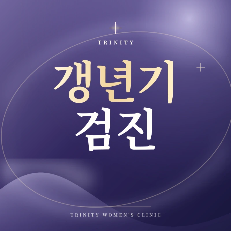 갱년기 검진