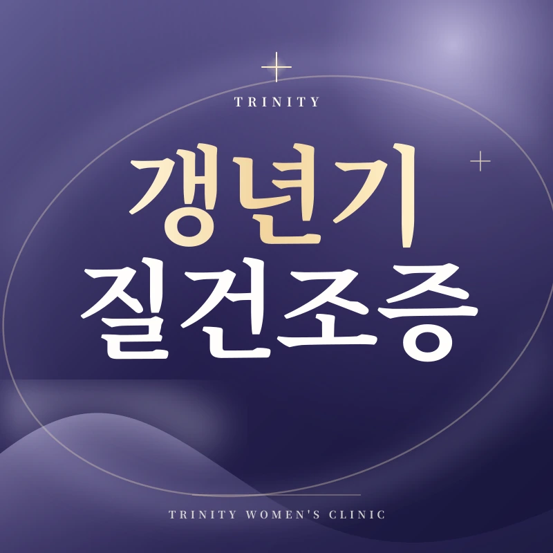 갱년기 질건조증