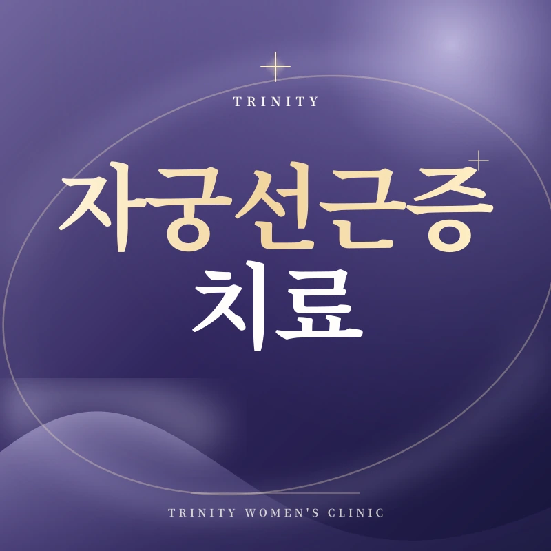 자궁선근증 치료