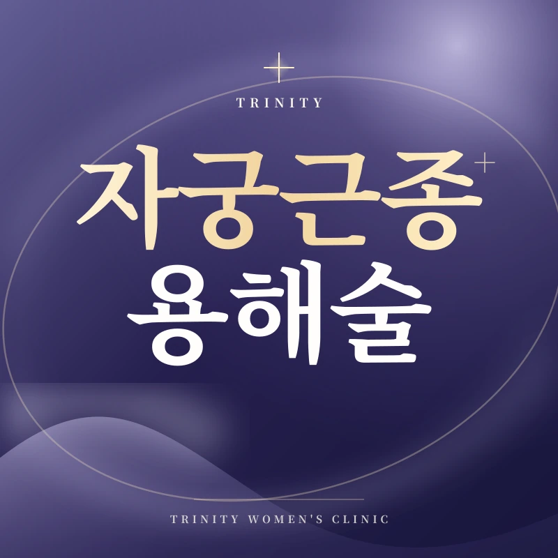 자궁근종용해술