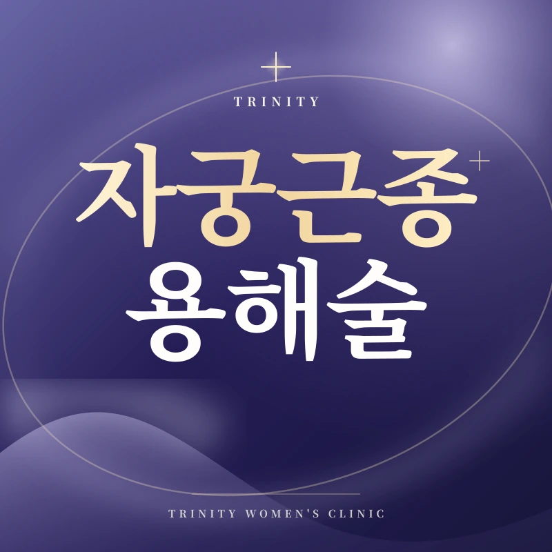 자궁근종용해술