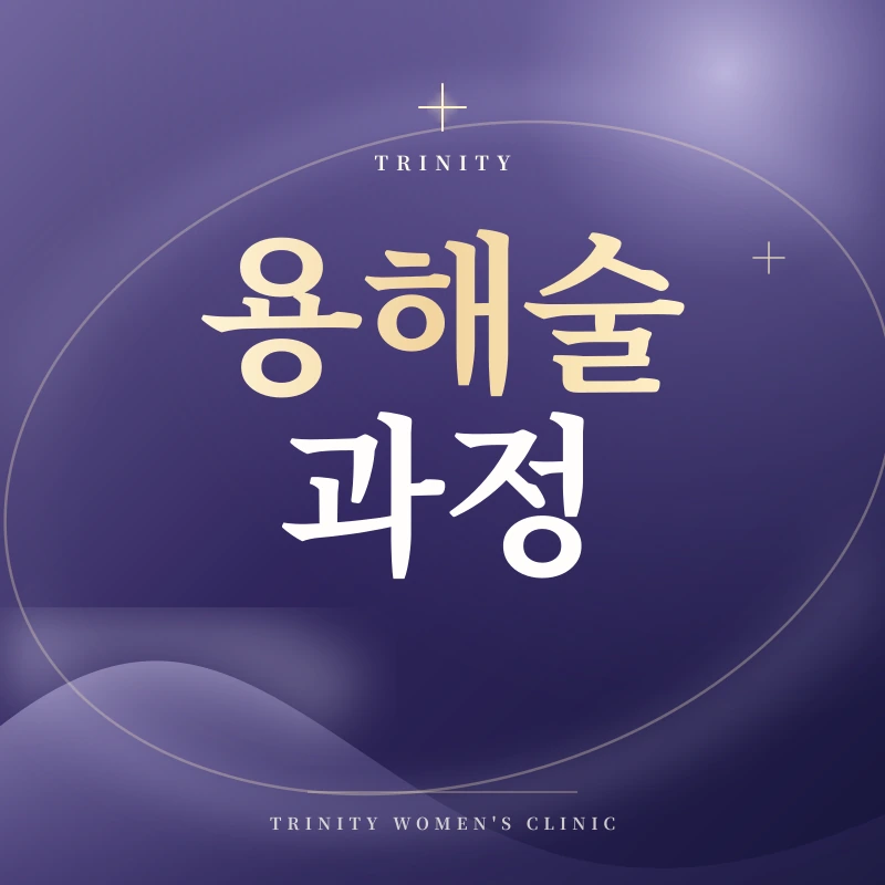 자궁근종용해술 과정