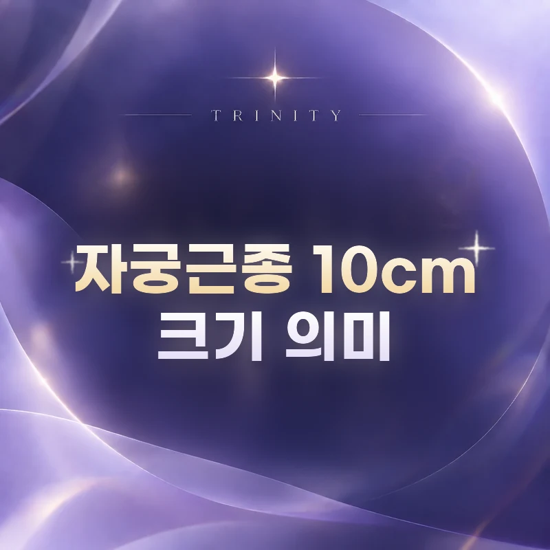자궁근종 10cm 크기 의미 | 자궁근종 10cm는 어느 정도 크기인가요?