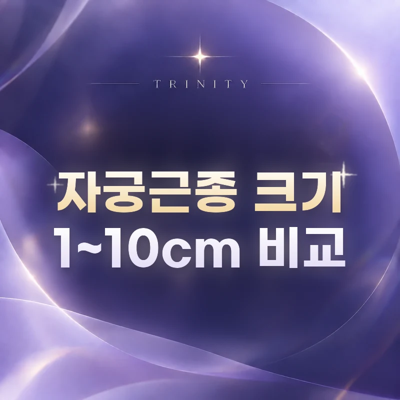 자궁근종 크기 1~10cm 비교 | 크기별 한눈에 보기