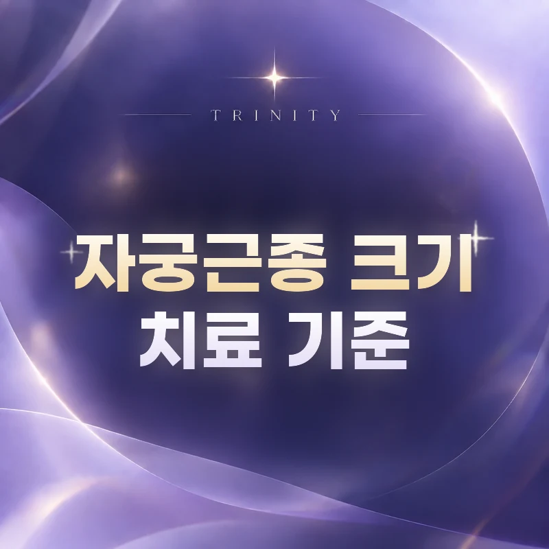 자궁근종 크기 치료 기준 | 크기보다 함께 보는 다섯 가지