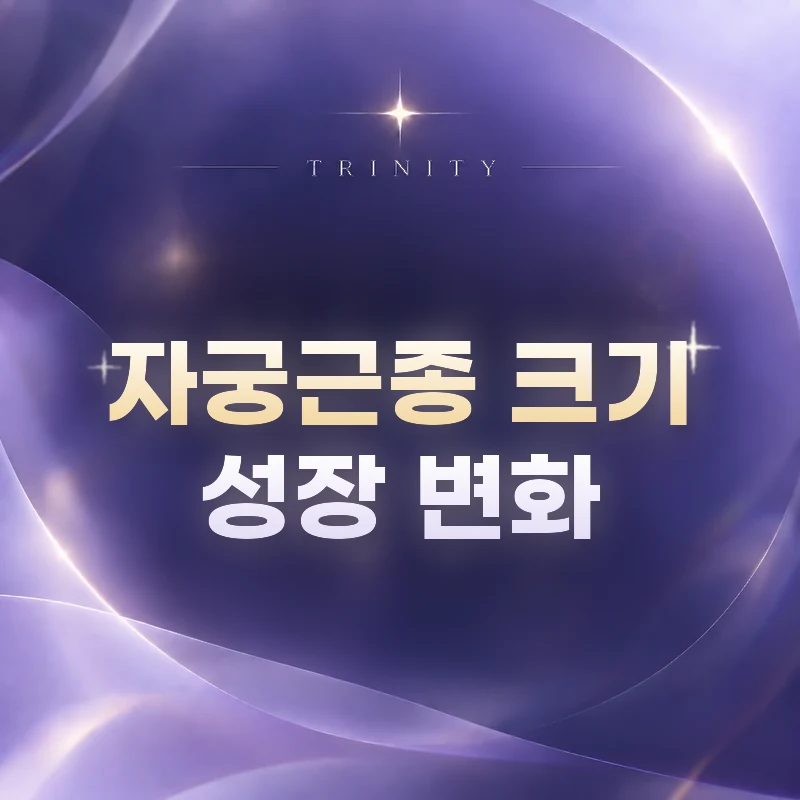 자궁근종 크기 성장 변화 | 근종이 자라는 속도와 폐경 후 변화
