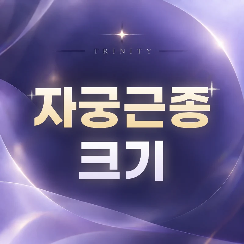 자궁근종 크기 | 1cm~10cm 크기별 의미와 치료 기준