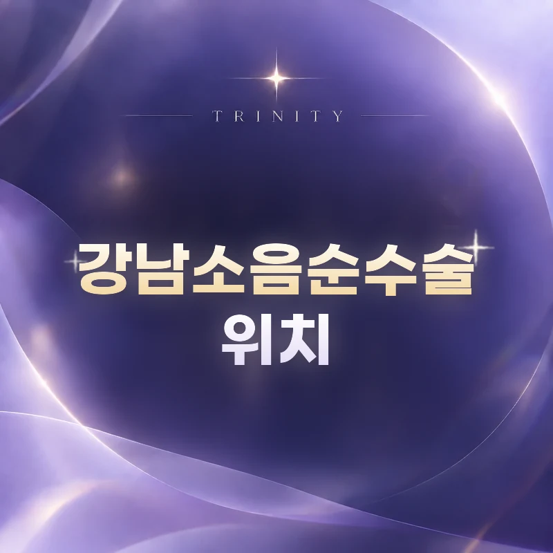 강남소음순수술 · 위치 | 신사역 도산대로 108
