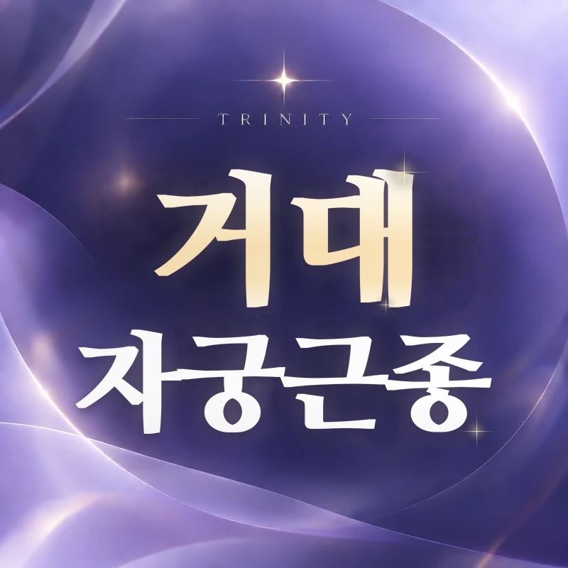 거대자궁근종·크기만으로 치료를 정하지 않는 이유
