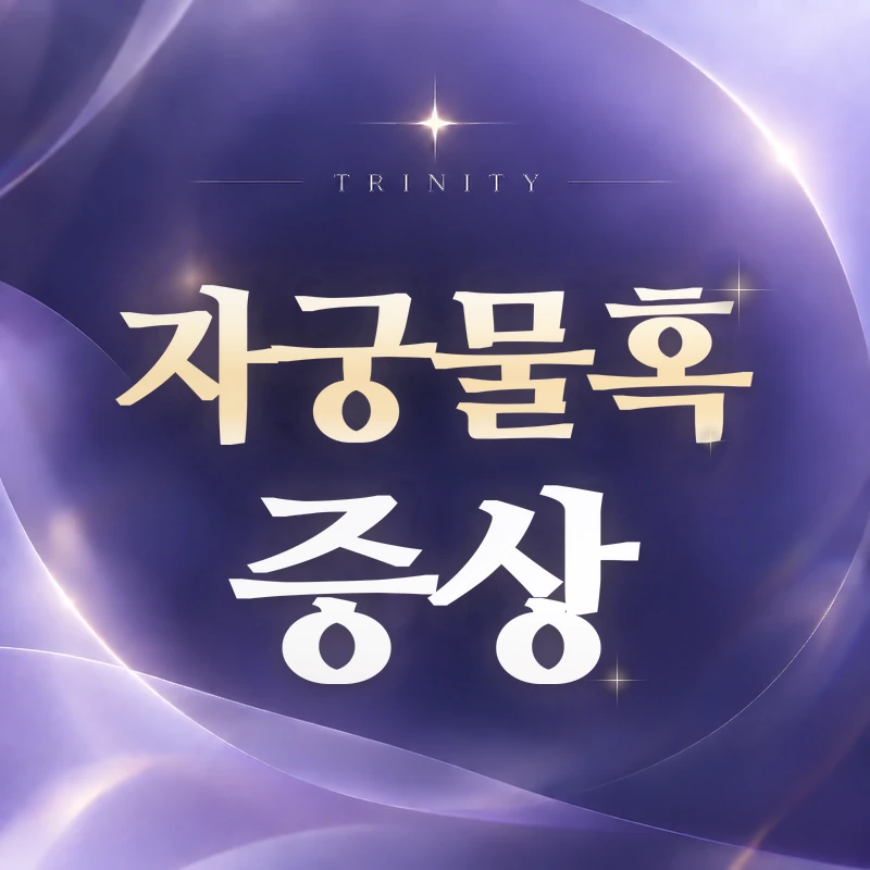 자궁물혹·자궁 물혹 증상, 자궁근종인가요
