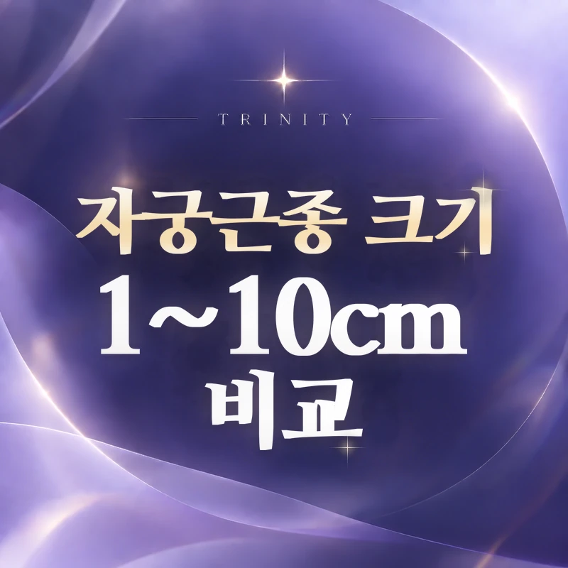 자궁근종 크기 1~10cm 비교 | 크기별 한눈에 보기