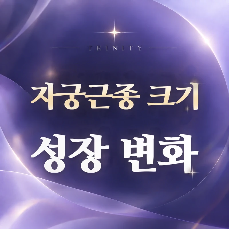자궁근종 크기 성장 변화 | 근종이 자라는 속도와 폐경 후 변화
