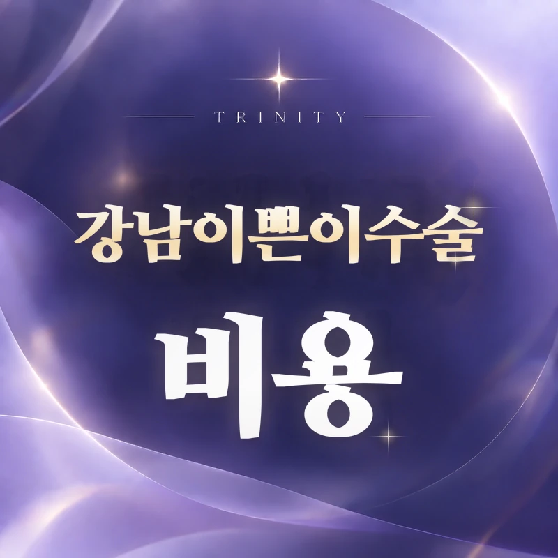 강남이쁜이수술 비용 | 이쁜이수술 비용