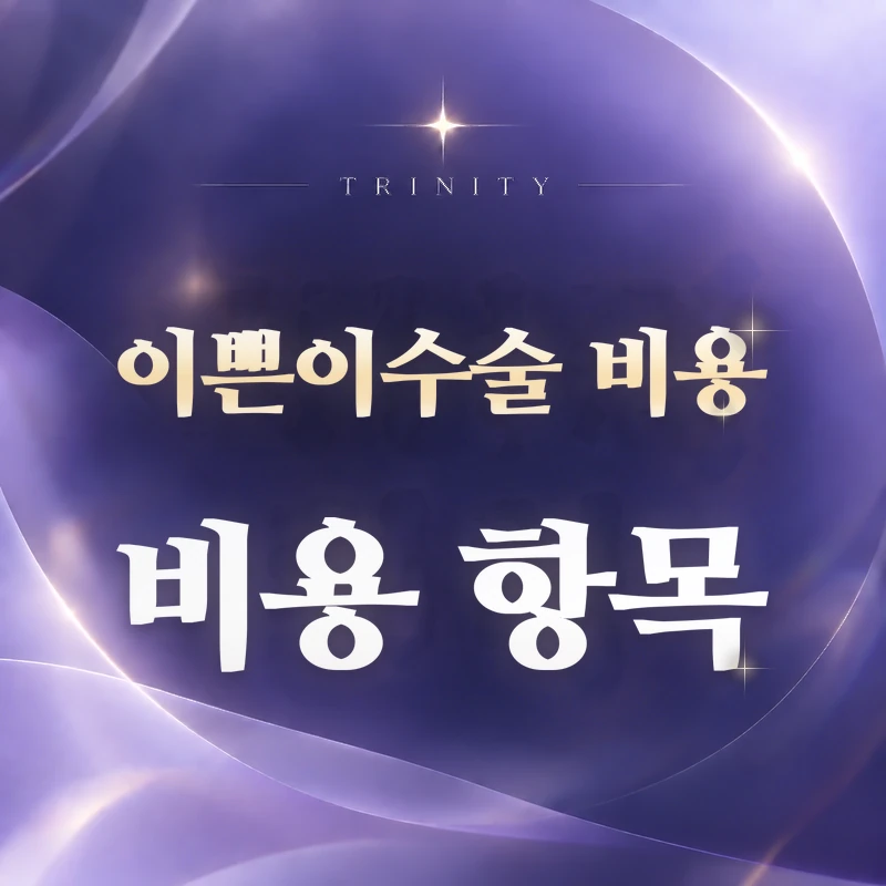 이쁜이수술 비용 비용 항목 | 범위·방법·재수술