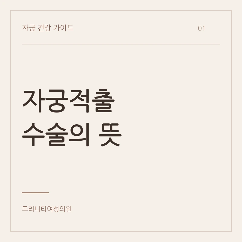 자궁적출 뜻과 수술 범위