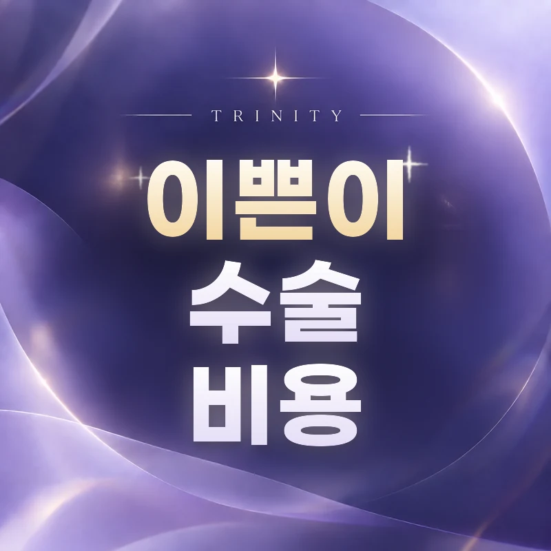 이쁜이수술 비용